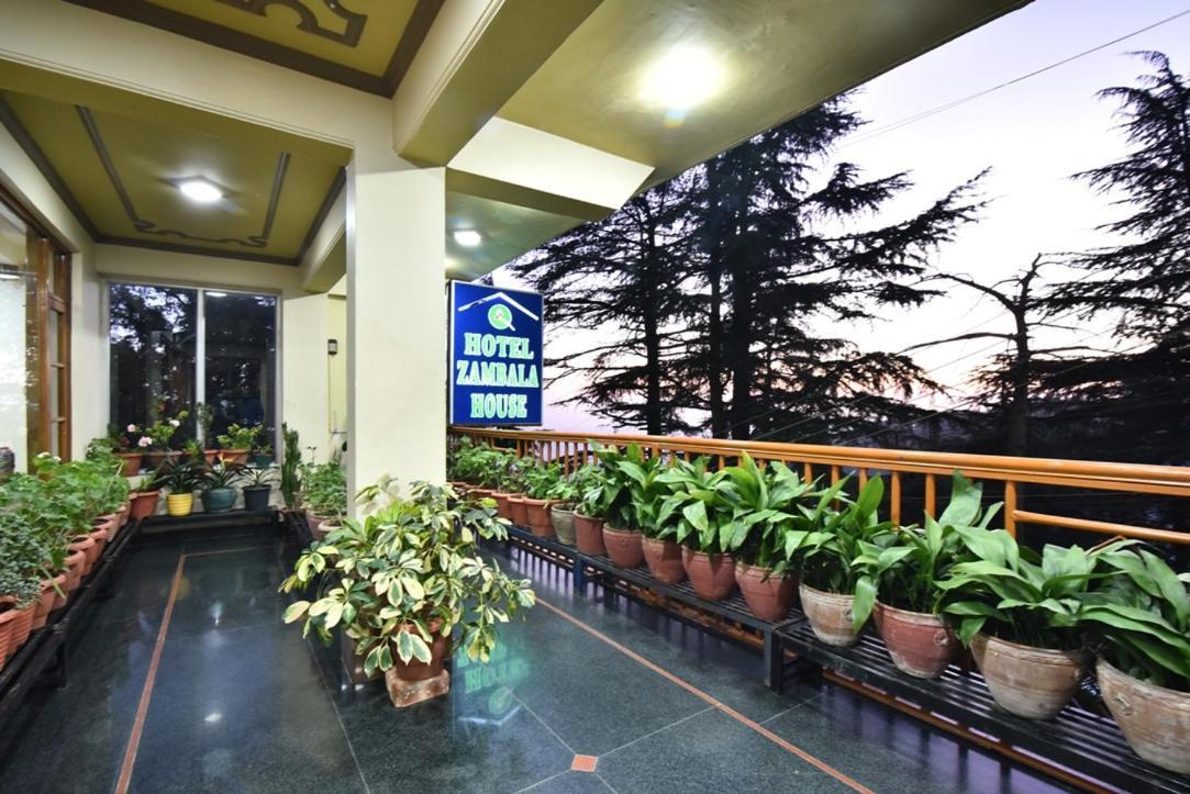 Hotel Zambala House McLeod Ganj Exteriér fotografie